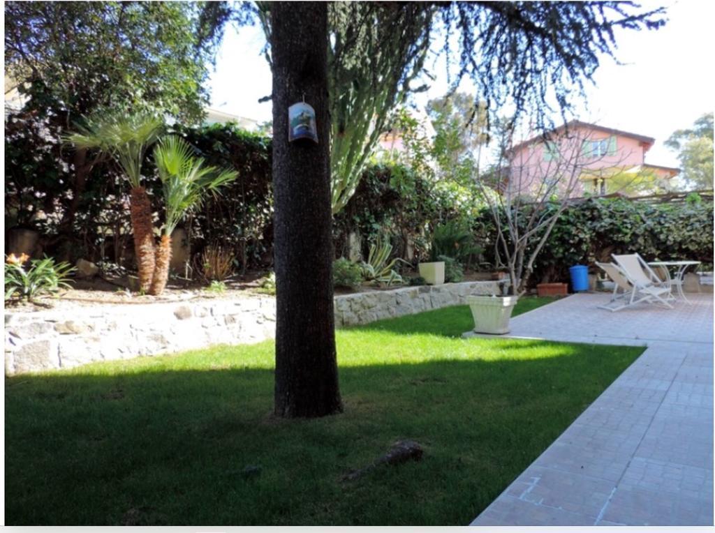 Primavera Apartments San Remo Habitación foto
